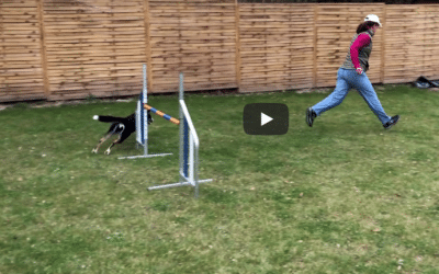 Backyard Training Challenge with Anna Eifert
