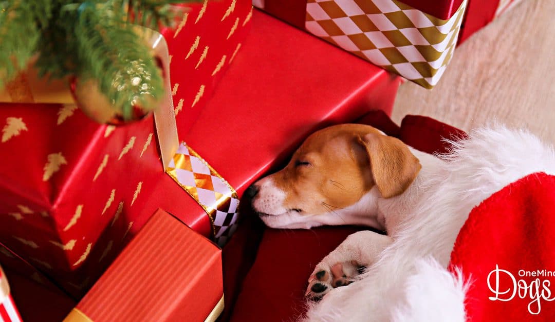Christmas  Survival Guide for First-Time Puppy-Parents