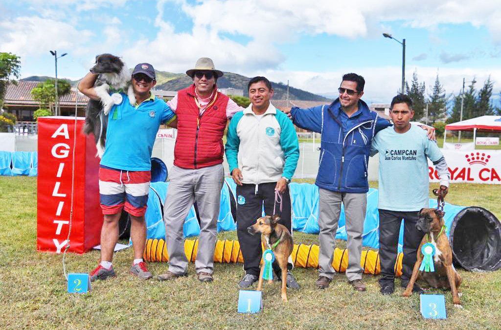 OneMind Dogs inspires agility in Ecuador!