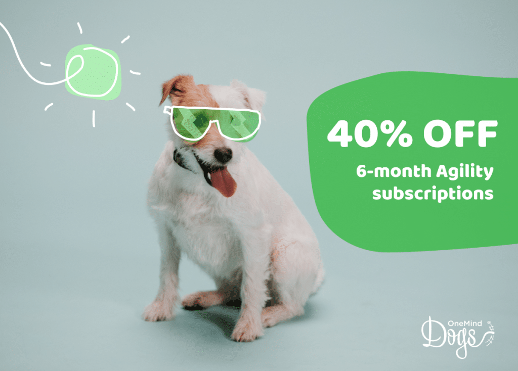 summer-dog-sale