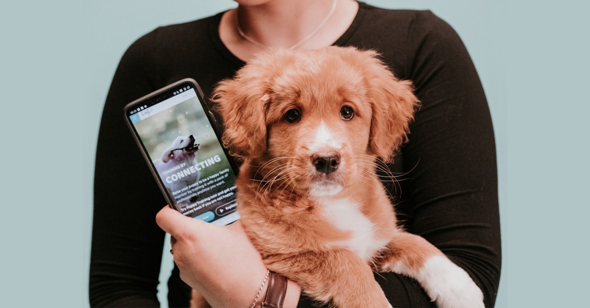 Online Puppy Training Easy and flexible OneMind Dogs