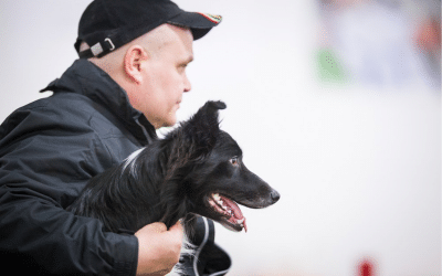 Agility from the dog’s perspective — can you see the difference?
