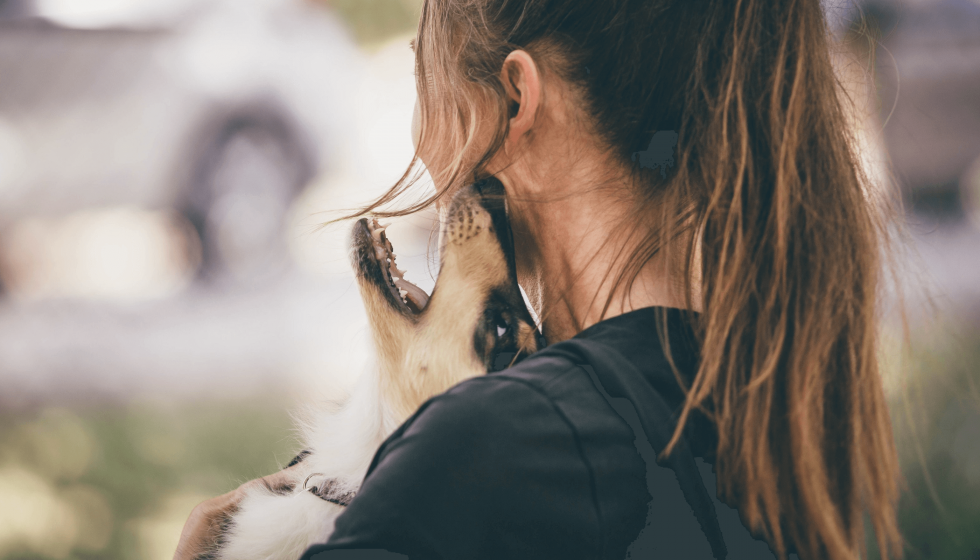 Why Puppies Bite And How To Teach Them To Stop It