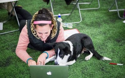 How to reach your goals in Agility — and why a training diary will help you get there