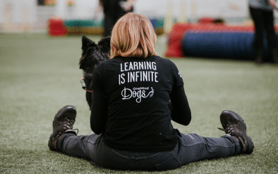 Why it’s important to train the dog in front of you