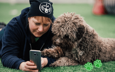 Agility Guided Courses: what are they, and how can I join in?