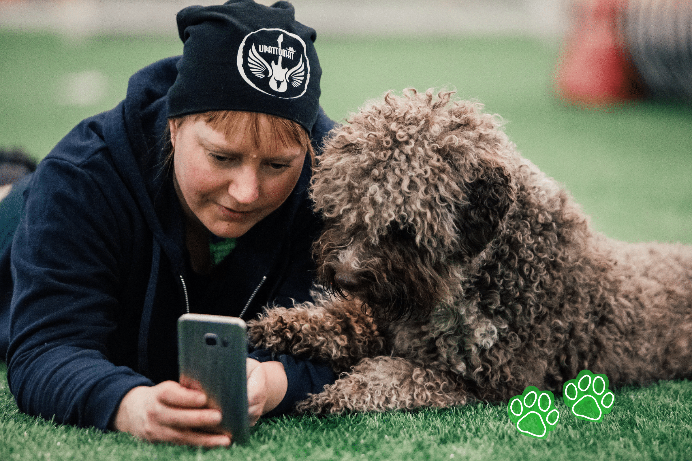 agility guided courses