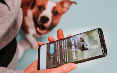 How does OneMind Dogs puppy training work?
