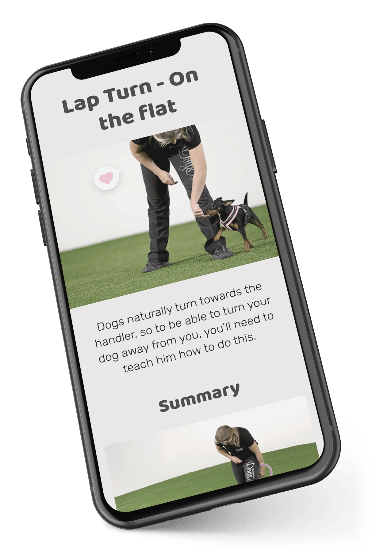 Lap_turn_mockup