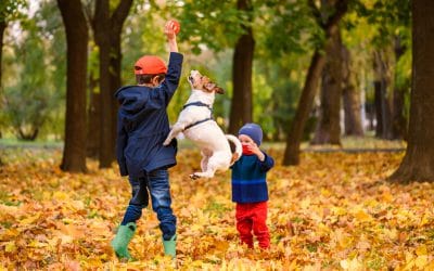 4 ways to get the whole family involved in dog training