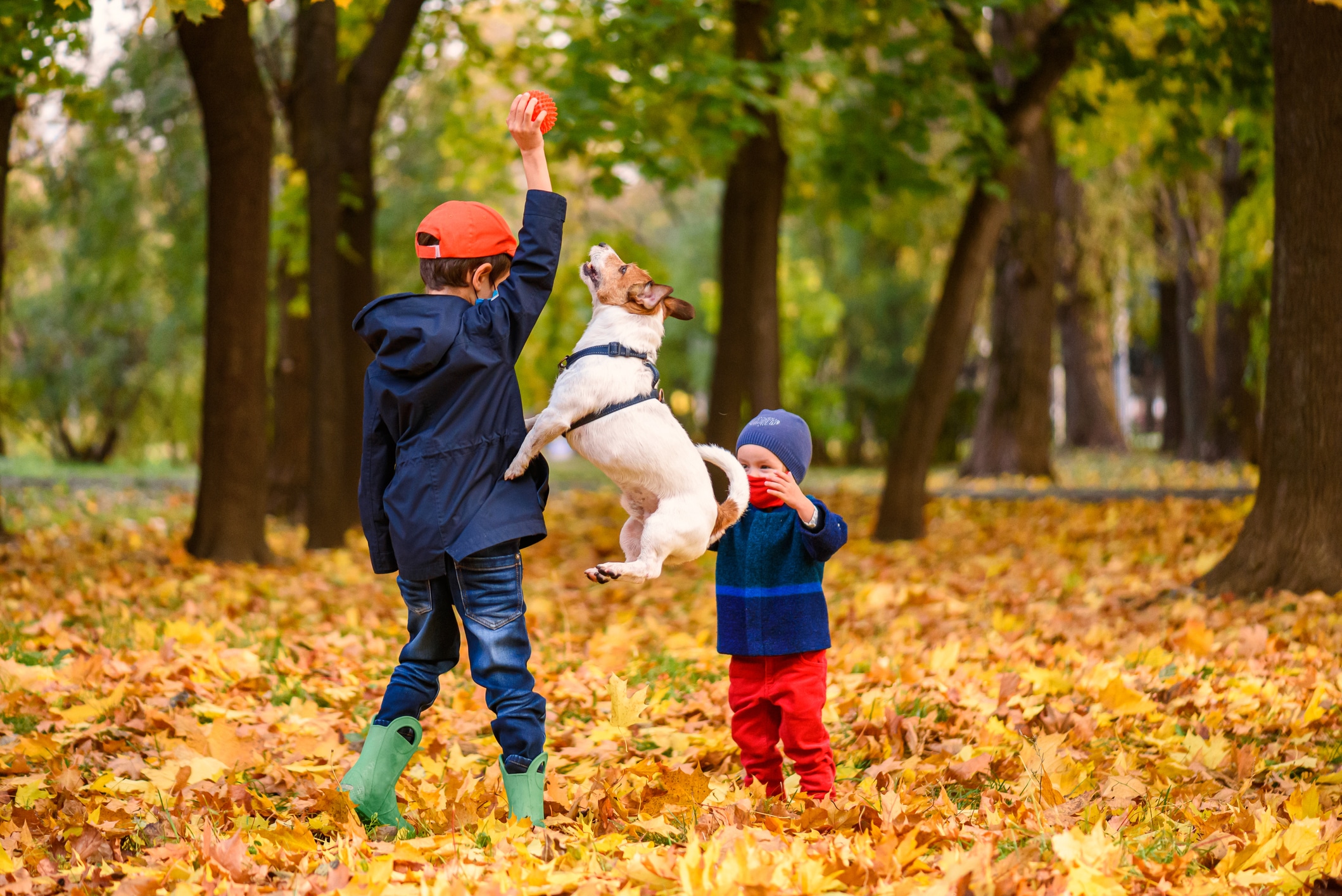 kids with family dog