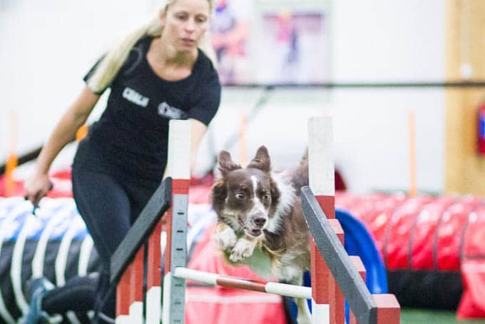 Agility handling techniques – why are options important?