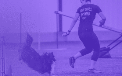 Agility from the Dog’s Perspective: The 7 Handling Elements