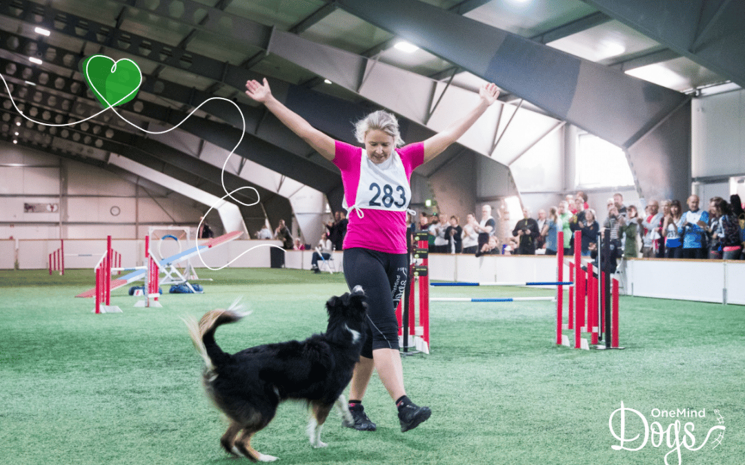 Preventing injury during dog sports — Warm up and cool down guide