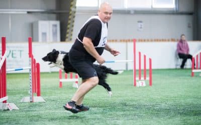 Agility handling technique names: What do they mean and why are they important?