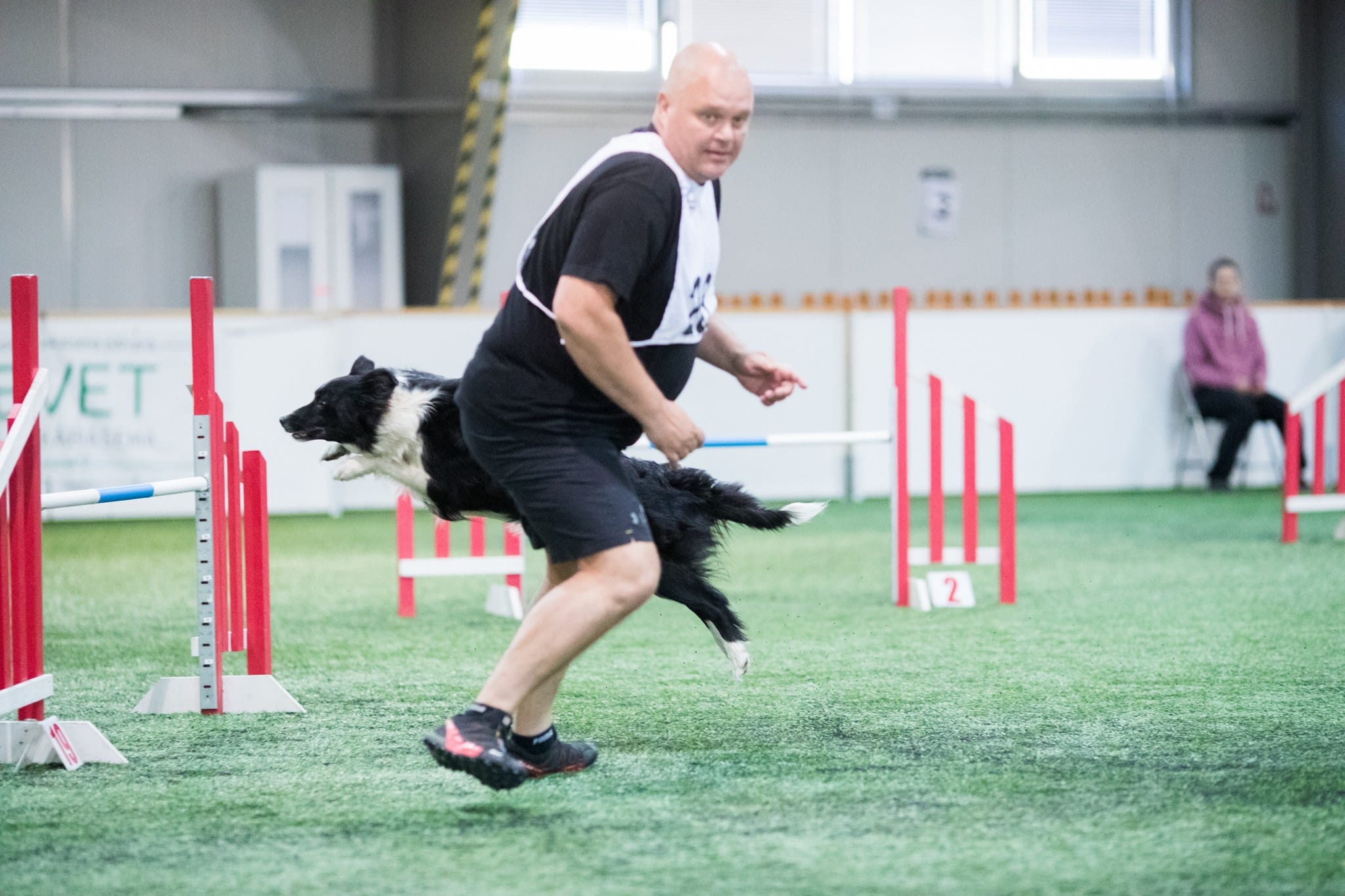 Reverse Spin dog agility technique