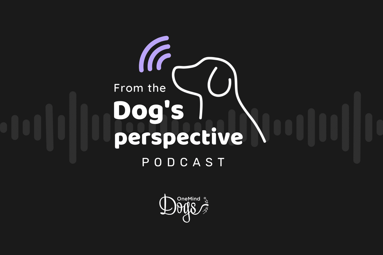 Landing page - From the Dog's perspective