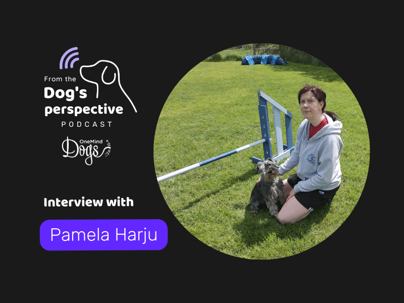 Pamela Harju discusses the importance of dogs for our mental health