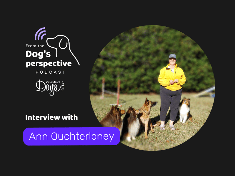 Ann Ouchtherloney’s story of agility joy despite physical limitations