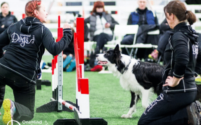 Learning agility handling techniques with your dog has many benefits