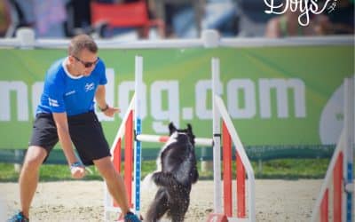 What is a Front Cross in Dog Agility?