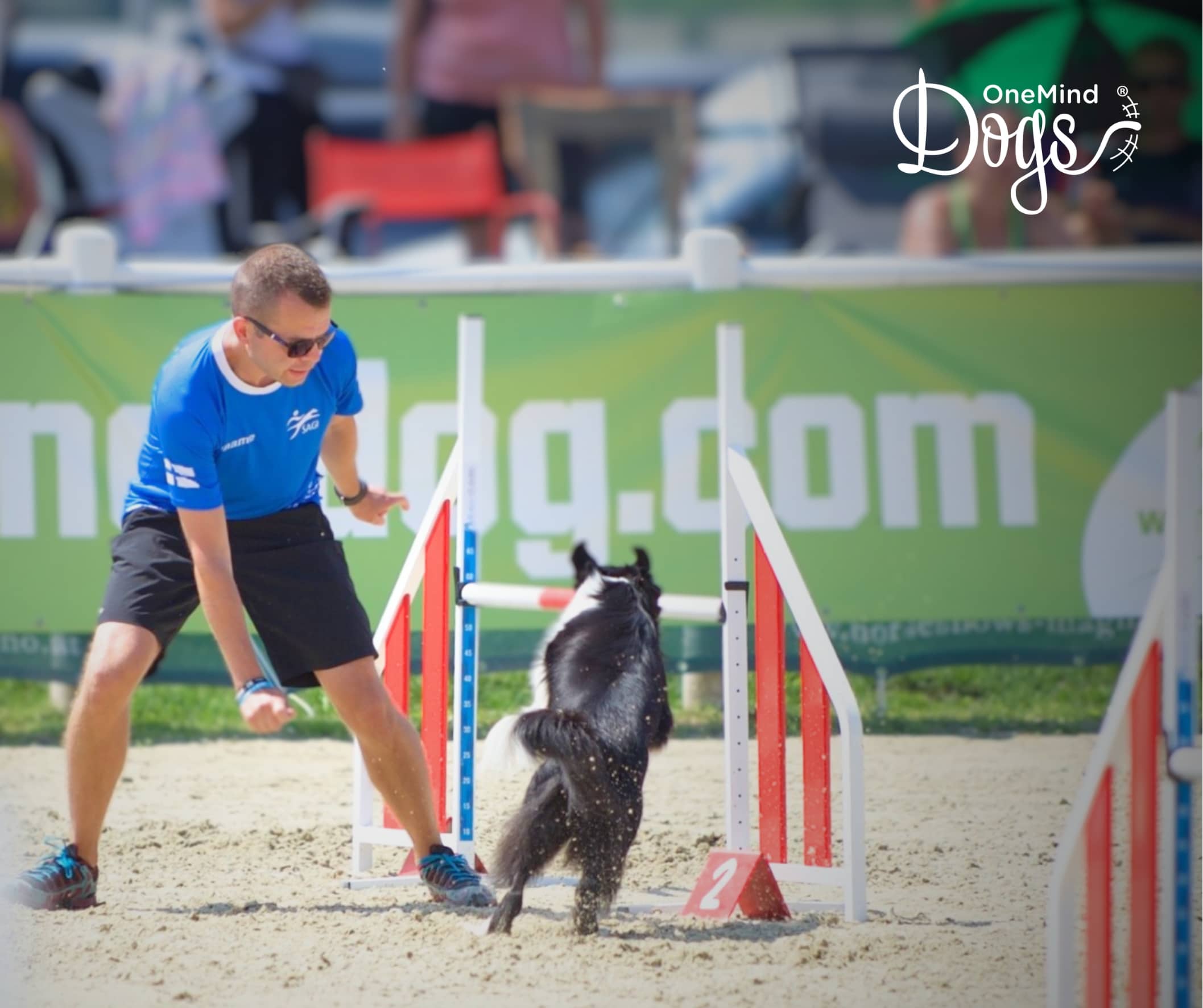 Front Cross - Dog agility clicker training 