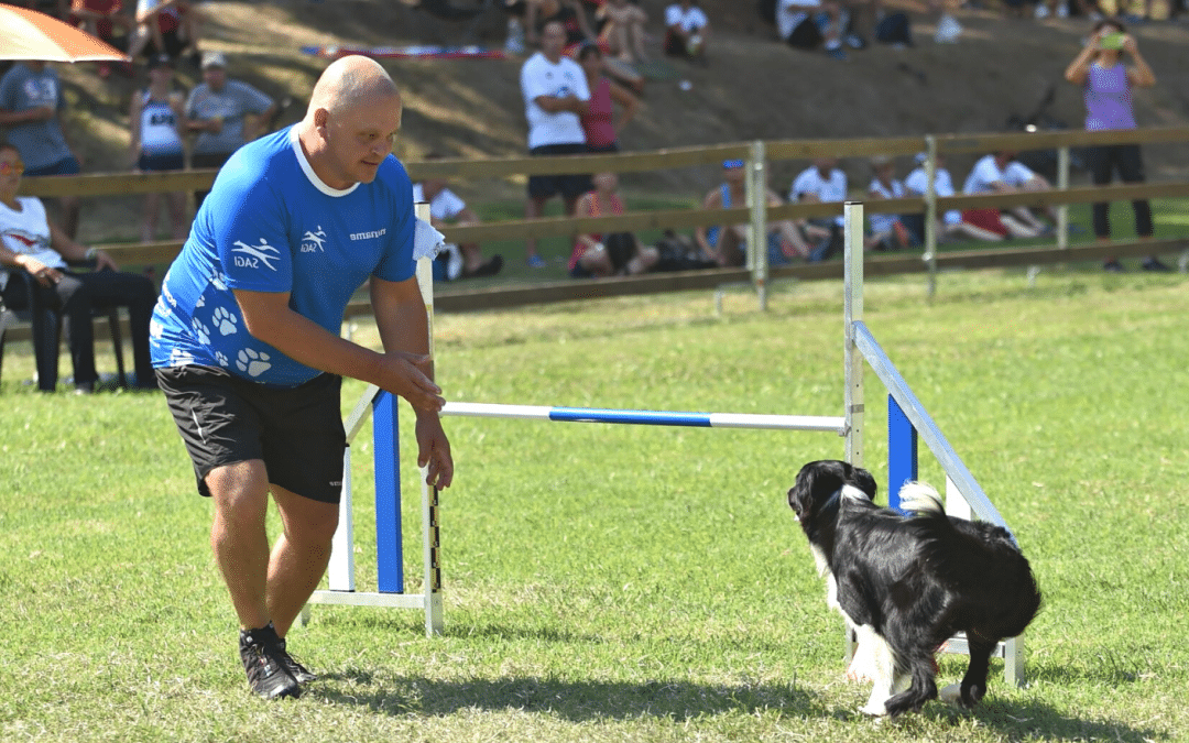 What is a Reverse Spin in Dog Agility?