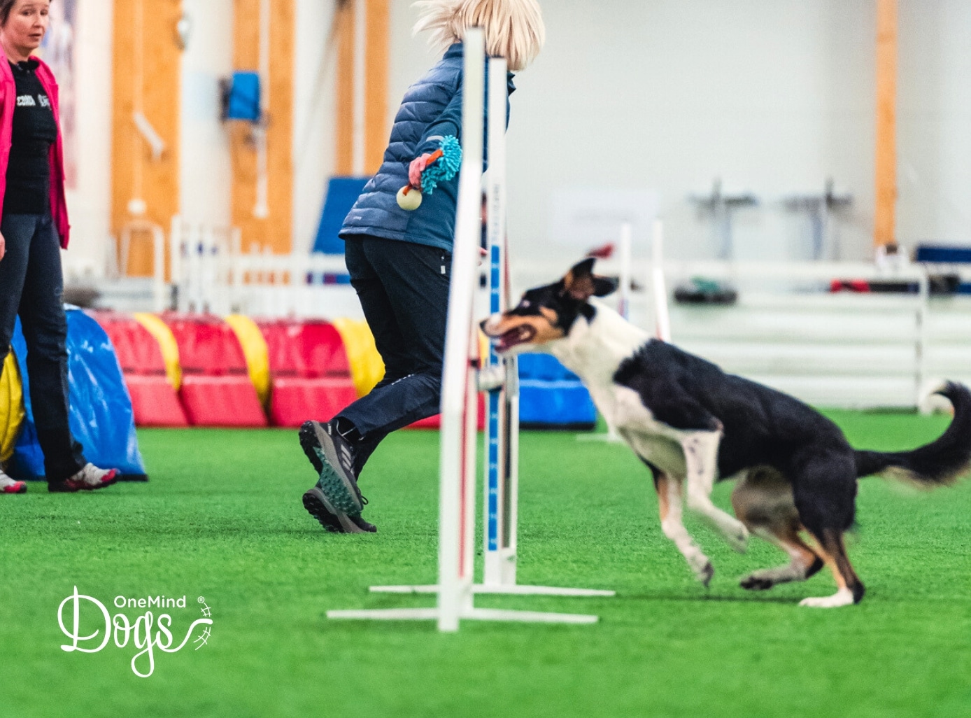 one jump agility exercises small space