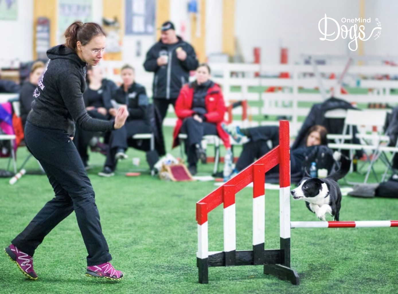 HERO - agility exercises on 1 jump free webinar (1) agility exercises on 1 jump