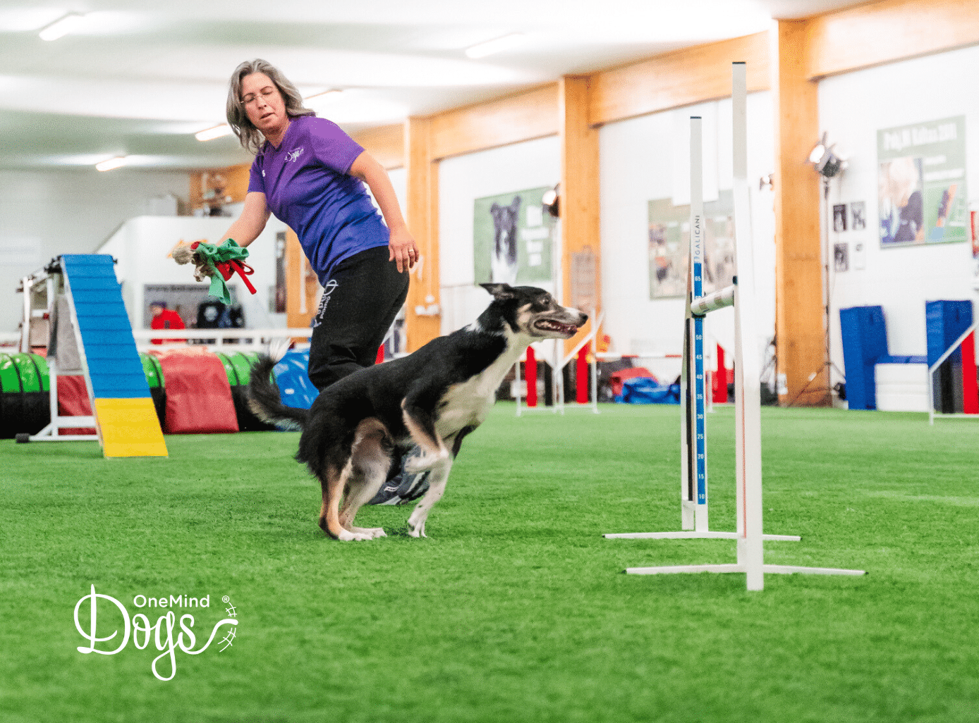 either or training leading legs in dog agility