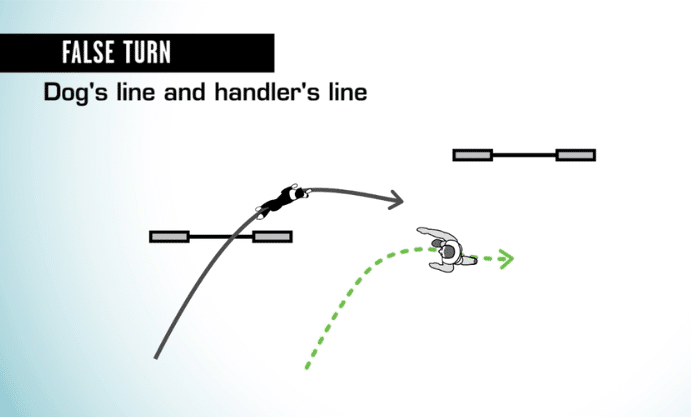 False turn dog's line and handler's line