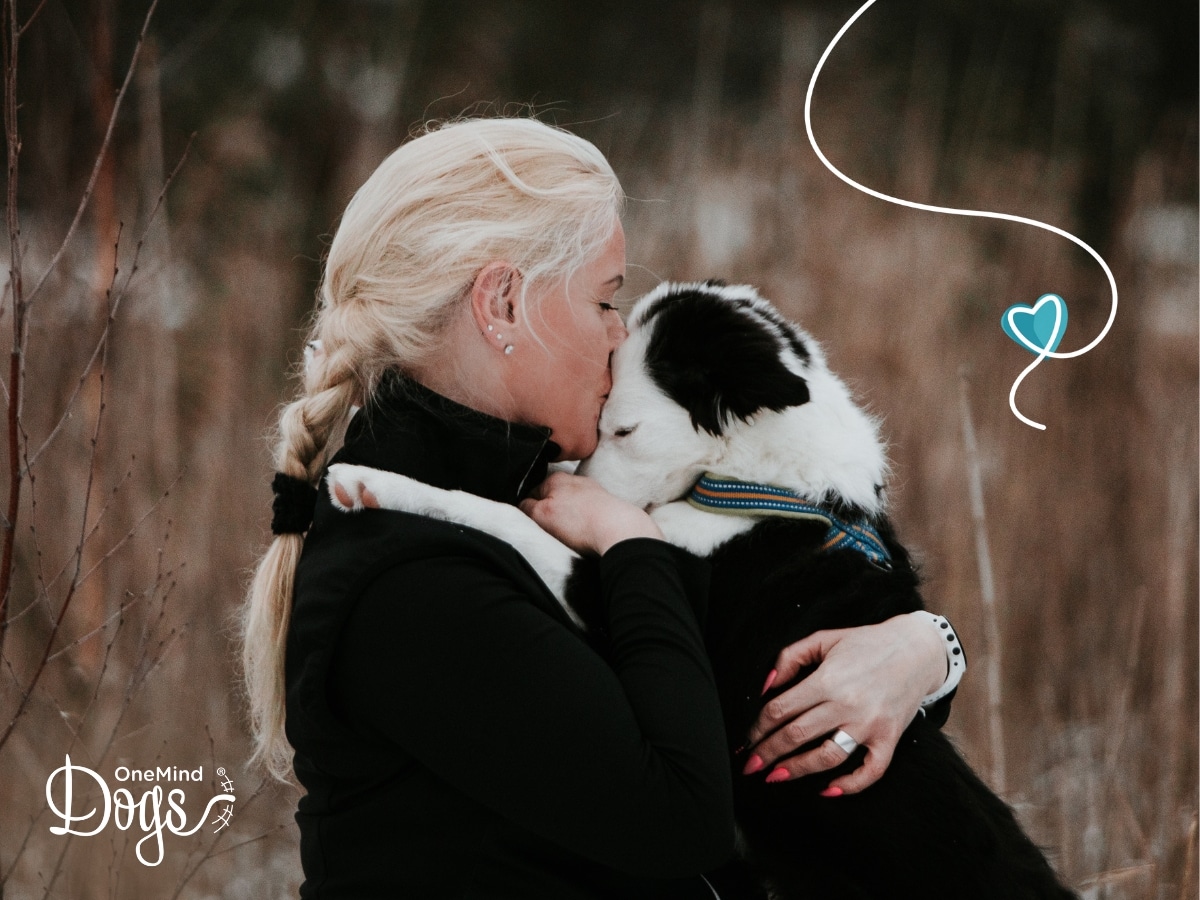 online puppy training online puppy training