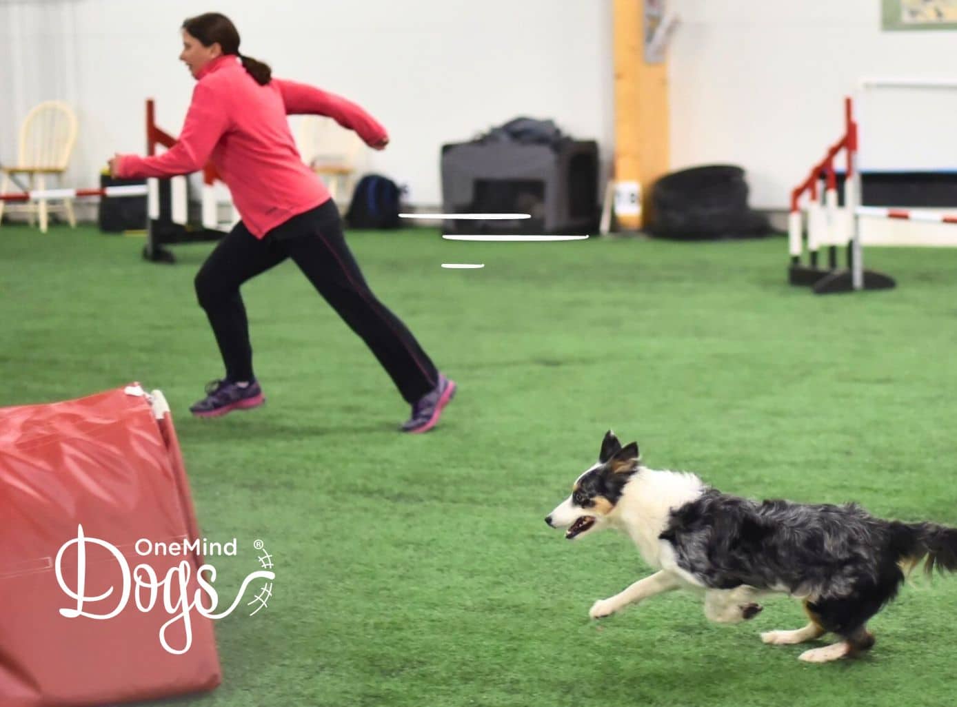 dog agility handler fitness dog agility handler fitness
