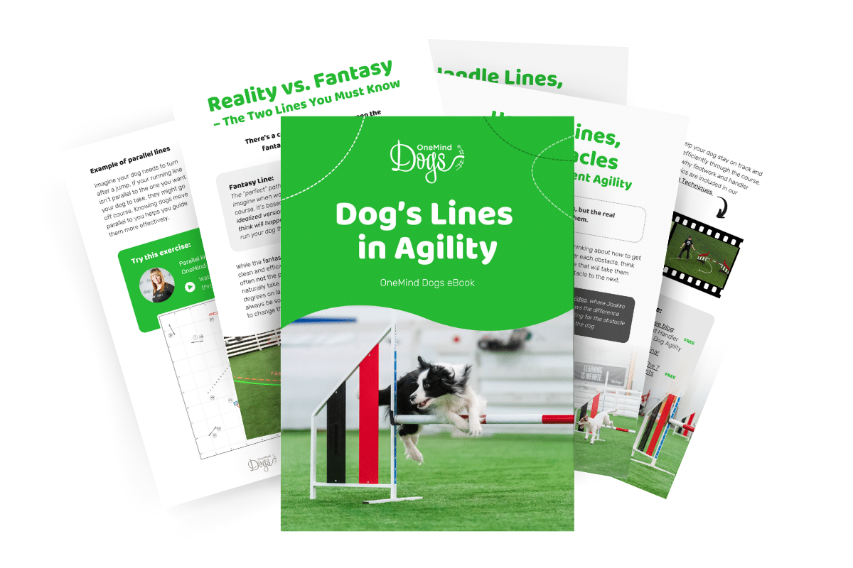 dogs lines agility ebook dogs lines agility ebook