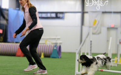 What’s next after agility foundations? A guide to a great agility journey