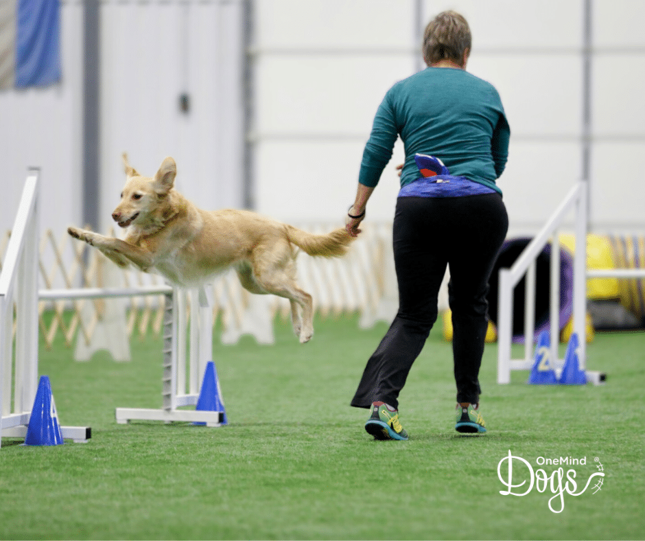 agility handling techniques