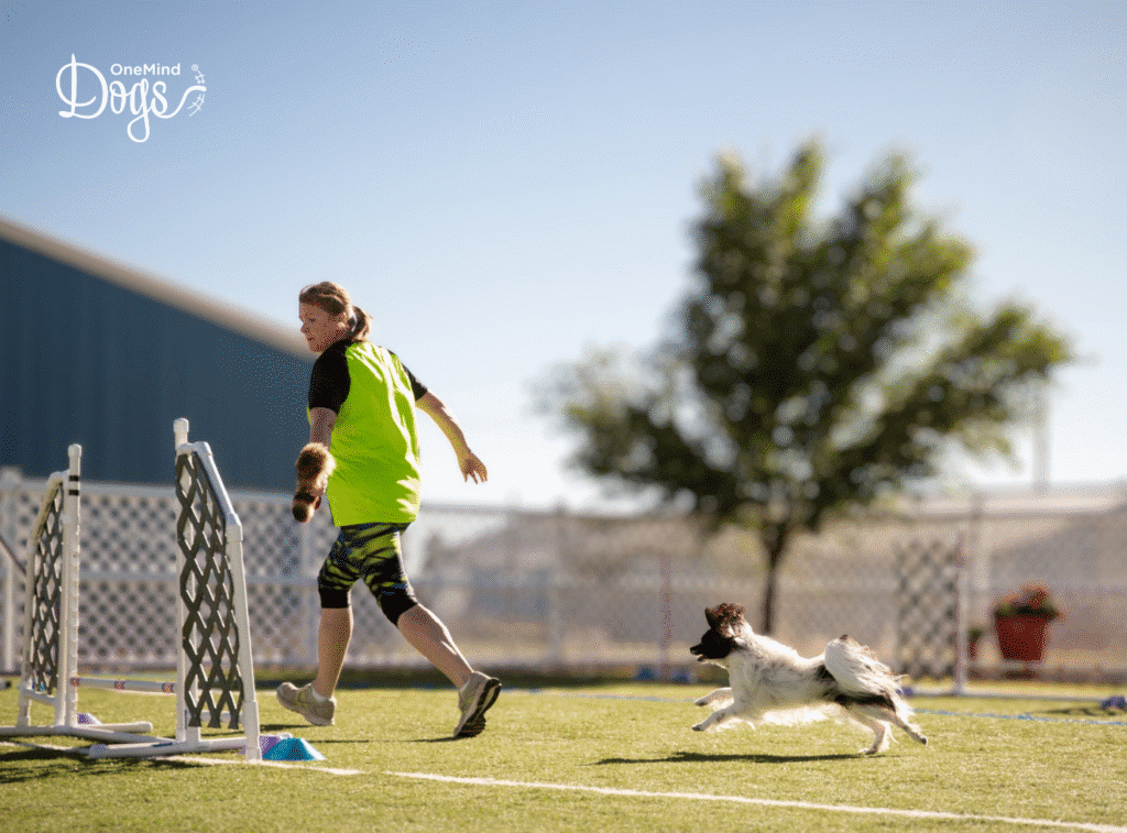 training agility by yourself