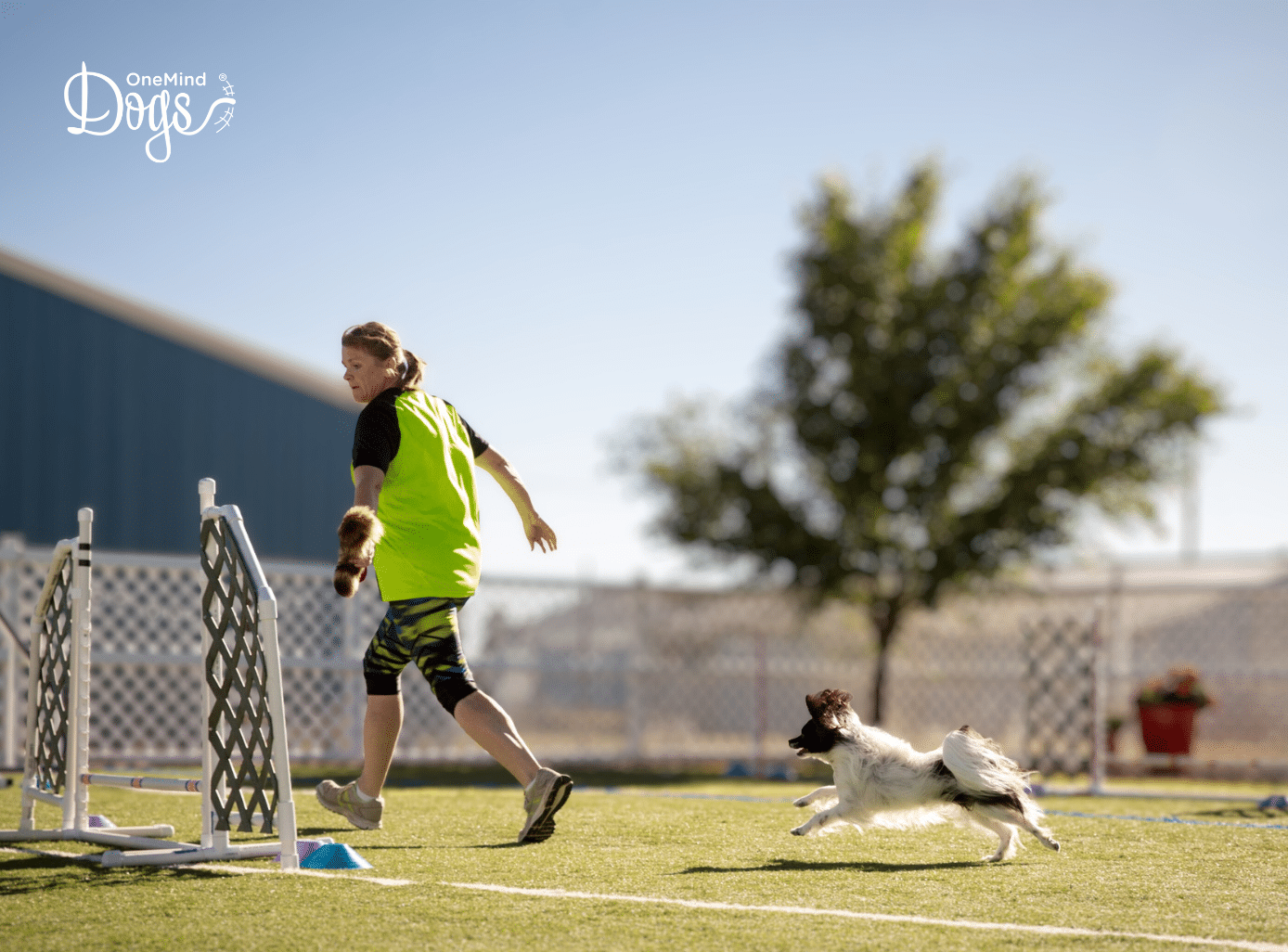 training agility alone training agility alone