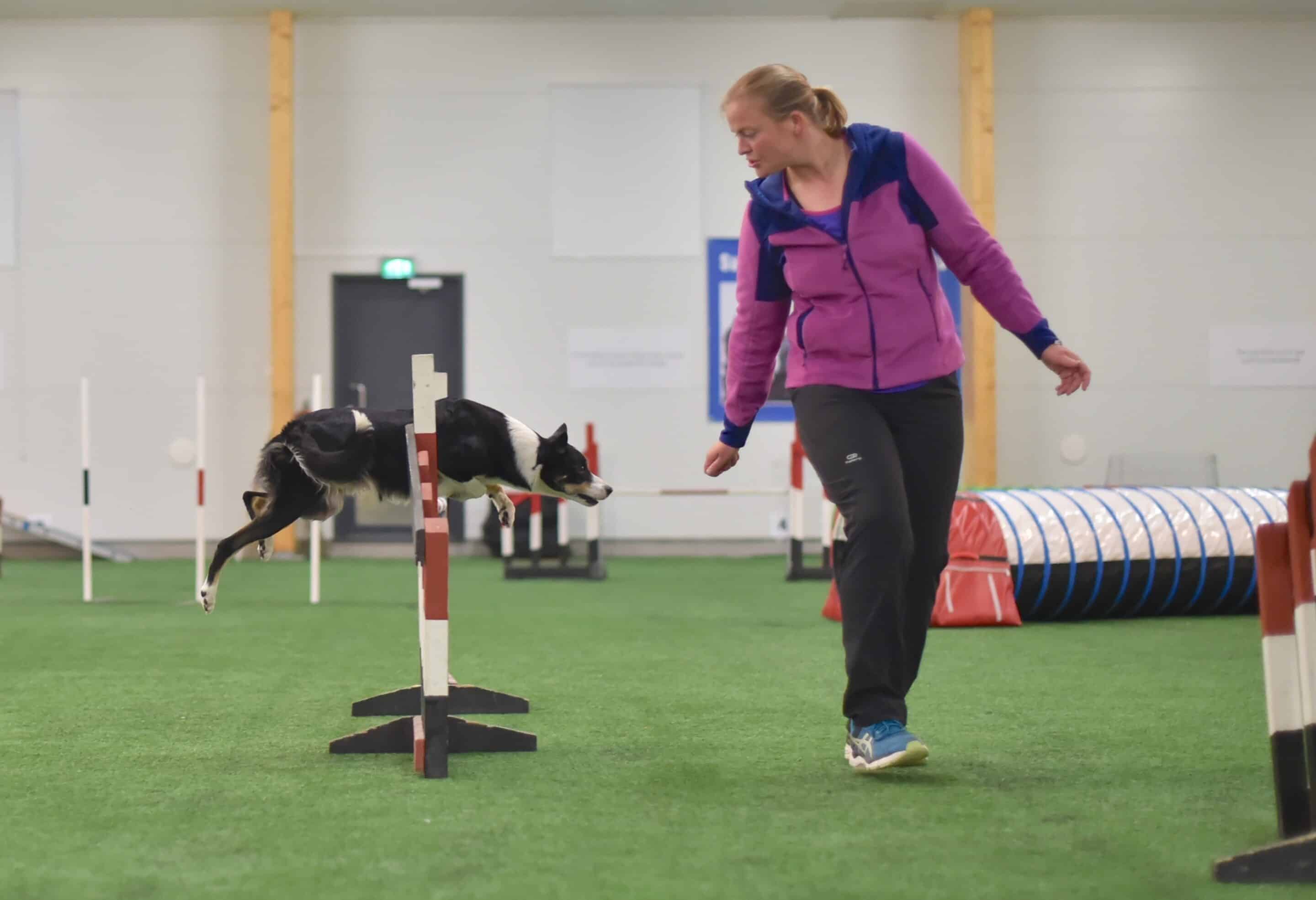 collect and tight turn agility