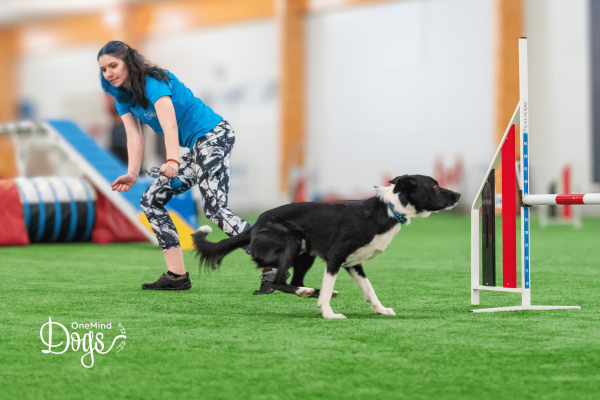 reverse spin agility