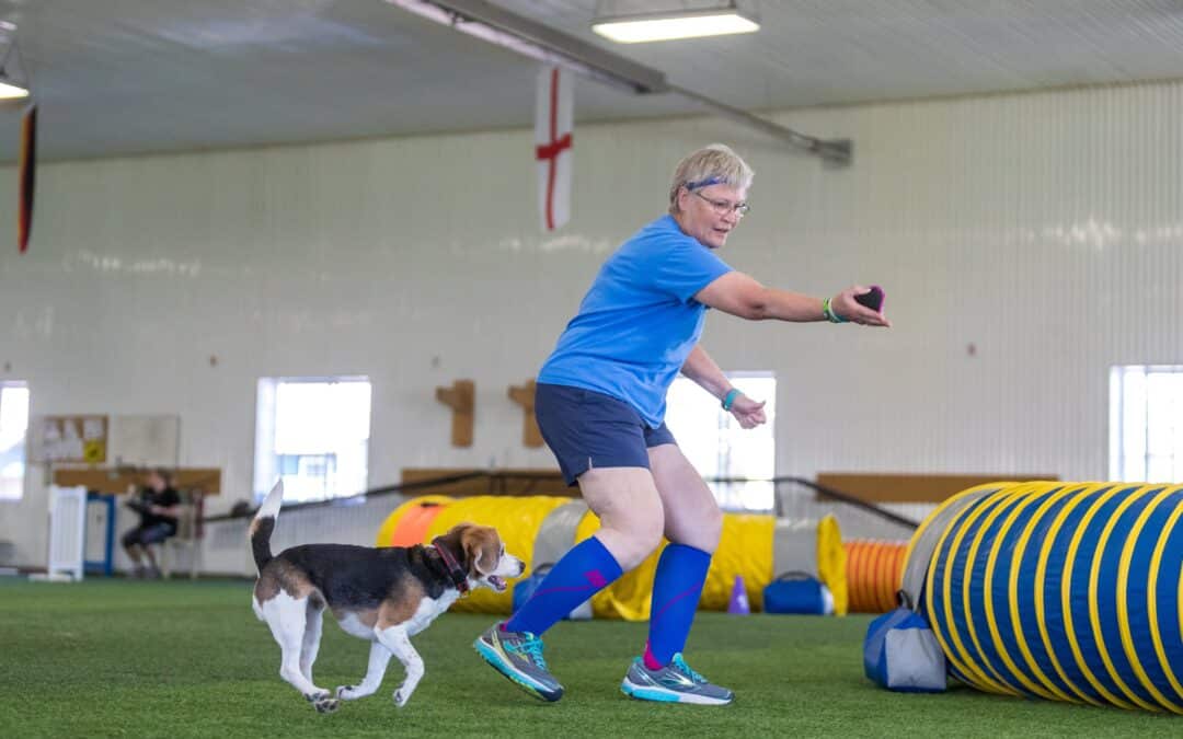 5 reasons to start agility training with your dog (at any age)