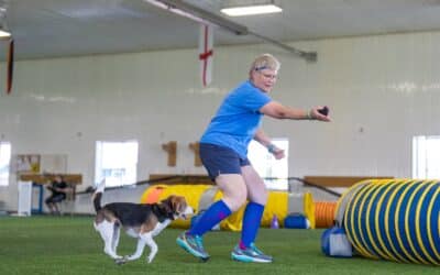 5 reasons to start agility training with your dog (at any age)