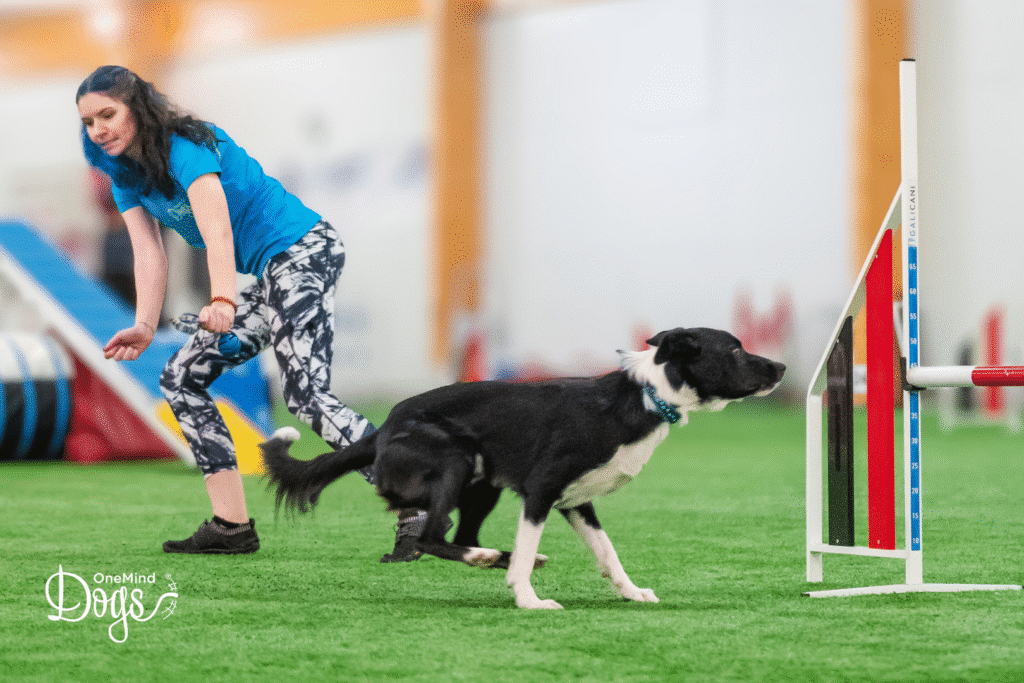 reverse spin agility