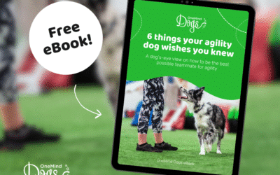 Understanding your agility dog: 6 things they wish you knew