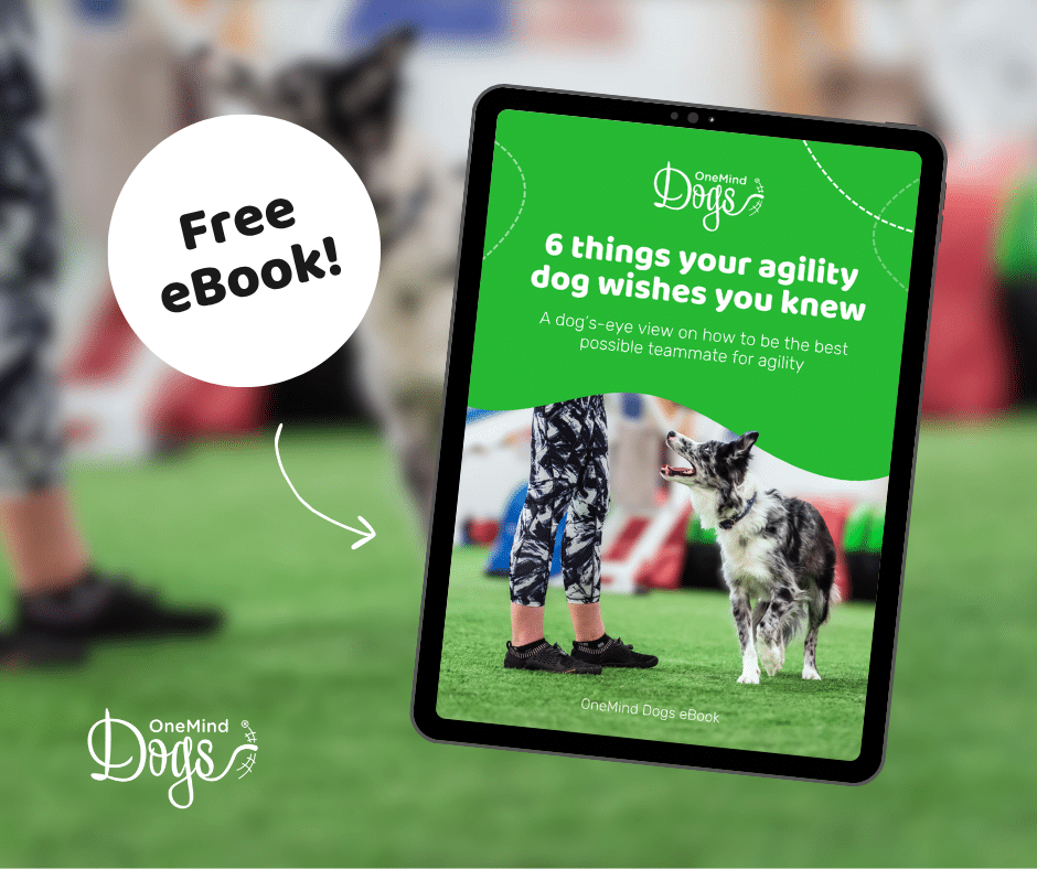understanding your agility dog