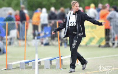 Why agility course walks can feel overwhelming (and how your dog sees it)