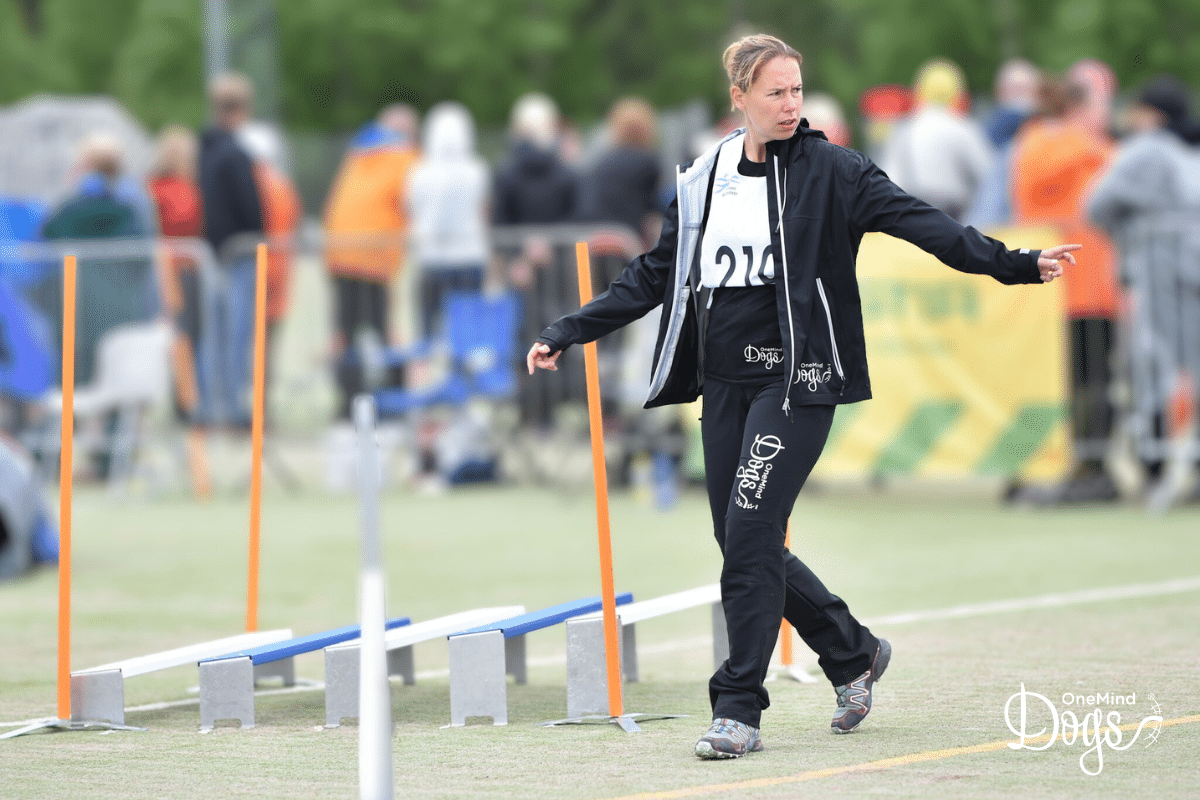 dog agility course walk