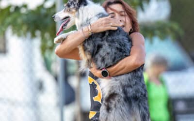 What my dog has taught me – Francesca and Asha’s agility journey