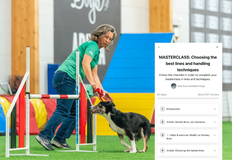 Collection and tight turns doga gility