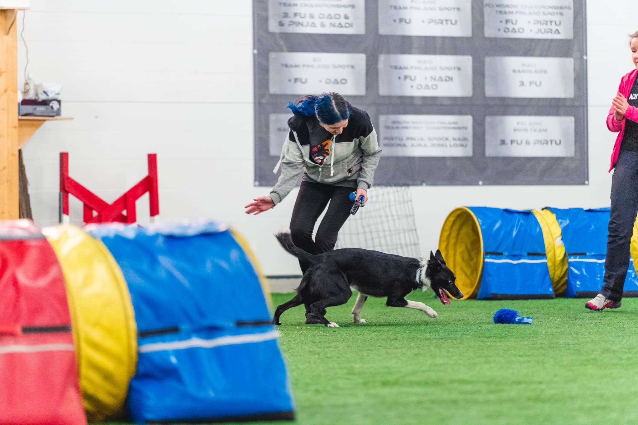 Collection and tight turns doga gility